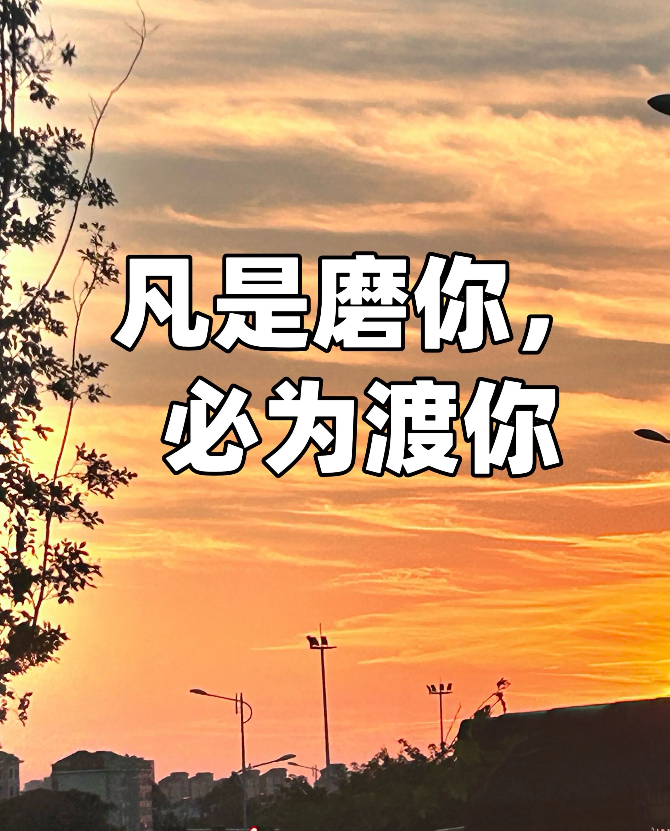 一年一重阳，
暖了晚秋的时光。
愿亲人父母，
年华无恙，岁岁安康。