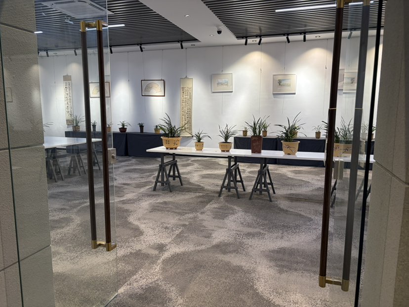 厦门聚祥古玩城三楼兰花展